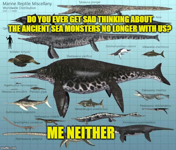 DO YOU EVER GET SAD THINKING ABOUT THE ANCIENT SEA MONSTERS NO LONGER WITH US? ME NEITHER | image tagged in sea monsters,ancient fish,evolution | made w/ Imgflip meme maker