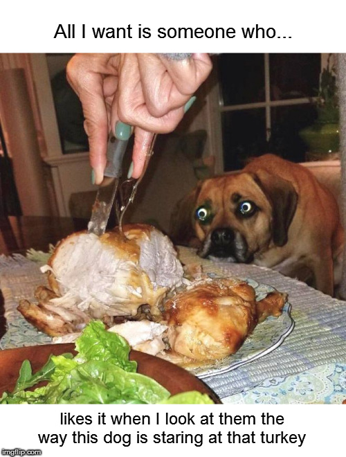 It's not creepy at all! | All I want is someone who... likes it when I look at them the way this dog is staring at that turkey | image tagged in memes,dog,food | made w/ Imgflip meme maker