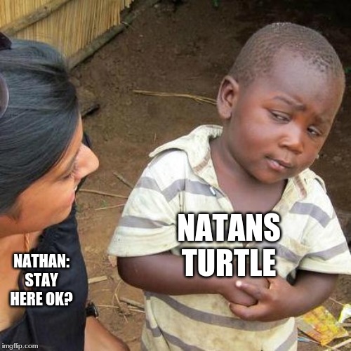 Third World Skeptical Kid | NATANS TURTLE; NATHAN: STAY HERE OK? | image tagged in memes,third world skeptical kid | made w/ Imgflip meme maker