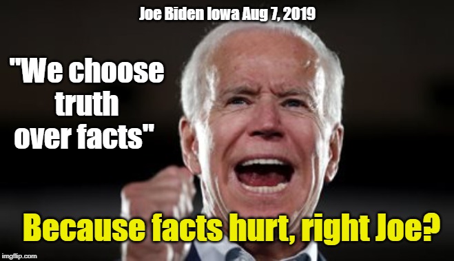 Biden Said in Iowa while fundraising after mass shootings | Joe Biden Iowa Aug 7, 2019; "We choose truth over facts"; Because facts hurt, right Joe? | image tagged in joe biden,truth hurts,facts hurt | made w/ Imgflip meme maker
