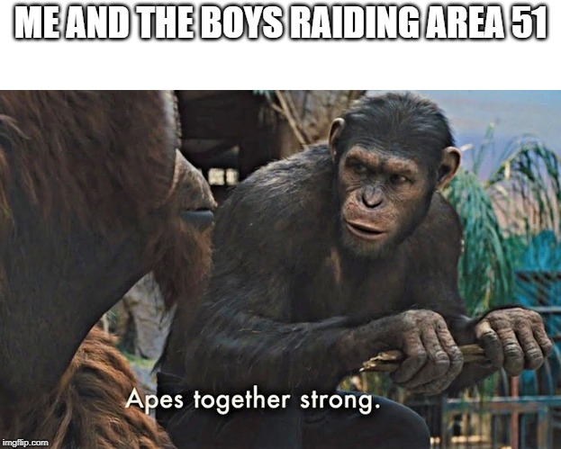 Apes Together Strong | ME AND THE BOYS RAIDING AREA 51 | image tagged in apes together strong | made w/ Imgflip meme maker