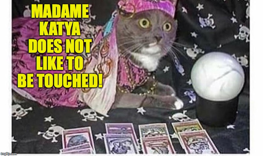 Readings for fun - $5.  Serious readings - $5. | MADAME KATYA DOES NOT LIKE TO BE TOUCHED! | image tagged in im psychic,memes,madame katya,cats | made w/ Imgflip meme maker