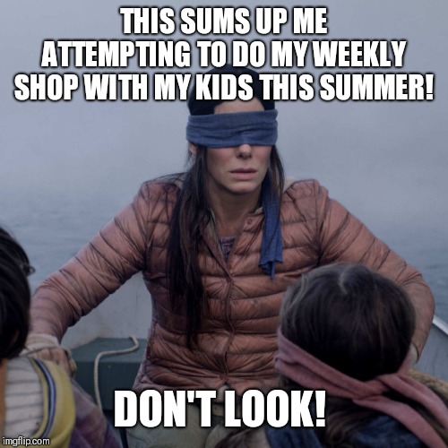 Bird Box | THIS SUMS UP ME ATTEMPTING TO DO MY WEEKLY SHOP WITH MY KIDS THIS SUMMER! DON'T LOOK! | image tagged in memes,bird box | made w/ Imgflip meme maker