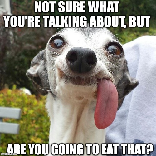 Dog tongue | NOT SURE WHAT YOU’RE TALKING ABOUT, BUT ARE YOU GOING TO EAT THAT? | image tagged in dog tongue | made w/ Imgflip meme maker