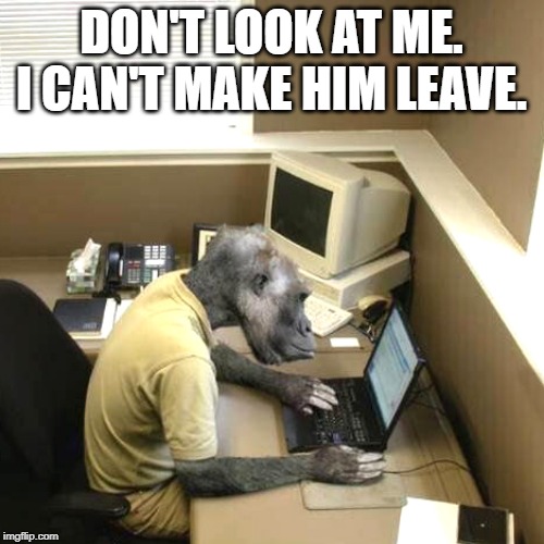 Monkey Business Meme | DON'T LOOK AT ME. I CAN'T MAKE HIM LEAVE. | image tagged in memes,monkey business | made w/ Imgflip meme maker