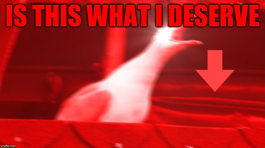 Raging Seagull | IS THIS WHAT I DESERVE | image tagged in angry seagull,downvote | made w/ Imgflip meme maker