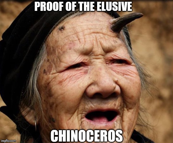 Horny | PROOF OF THE ELUSIVE; CHINOCEROS | image tagged in horny | made w/ Imgflip meme maker
