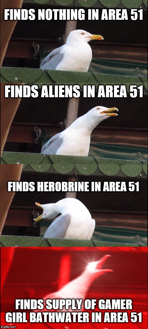 Inhaling Seagull Meme | FINDS NOTHING IN AREA 51; FINDS ALIENS IN AREA 51; FINDS HEROBRINE IN AREA 51; FINDS SUPPLY OF GAMER GIRL BATHWATER IN AREA 51 | image tagged in memes,inhaling seagull,area 51,gamer girl bathwater,herobrine | made w/ Imgflip meme maker