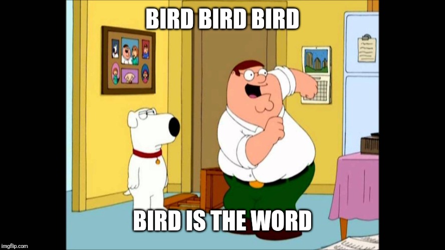 bird is the word | BIRD BIRD BIRD BIRD IS THE WORD | image tagged in bird is the word | made w/ Imgflip meme maker
