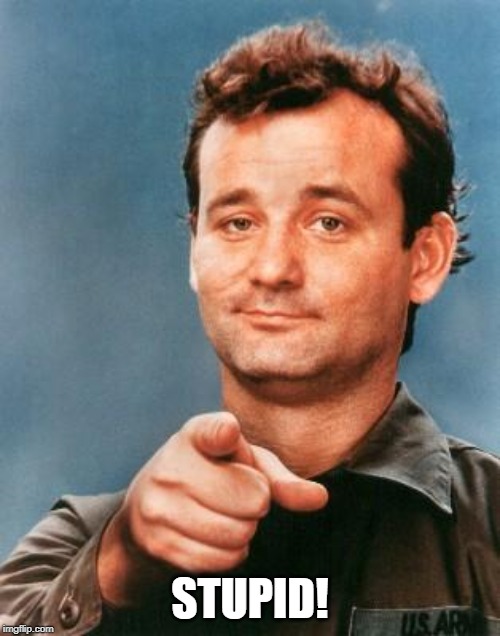 Bill Murray You're Awesome | STUPID! | image tagged in bill murray you're awesome | made w/ Imgflip meme maker