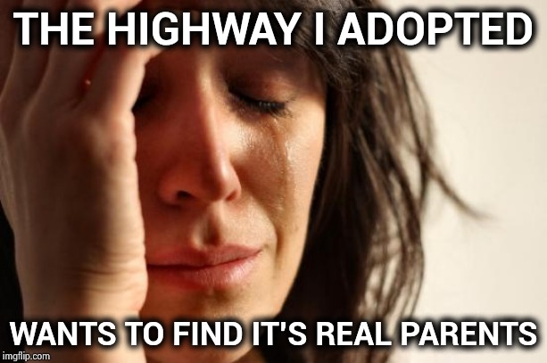 What does "Adopt a Highway even mean ? | THE HIGHWAY I ADOPTED; WANTS TO FIND IT'S REAL PARENTS | image tagged in memes,first world problems,highway to hell,crazyroadsigns,there i fixed it,shut up and take my money | made w/ Imgflip meme maker