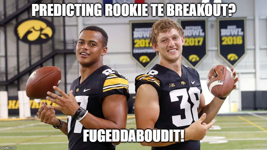 PREDICTING ROOKIE TE BREAKOUT? FUGEDDABOUDIT! | image tagged in fantasy football | made w/ Imgflip meme maker