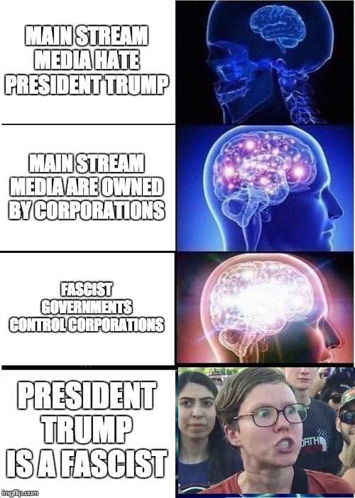 Expanding Brain | MAIN STREAM MEDIA HATE PRESIDENT TRUMP; MAIN STREAM MEDIA ARE OWNED BY CORPORATIONS; FASCIST GOVERNMENTS CONTROL CORPORATIONS; PRESIDENT TRUMP IS A FASCIST | image tagged in memes,expanding brain | made w/ Imgflip meme maker