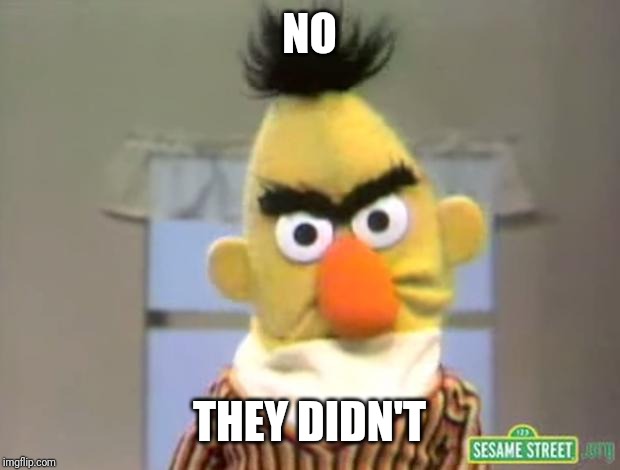 Sesame Street - Angry Bert | NO THEY DIDN'T | image tagged in sesame street - angry bert | made w/ Imgflip meme maker