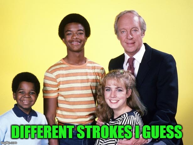 different strokes | DIFFERENT STROKES I GUESS | image tagged in different strokes | made w/ Imgflip meme maker