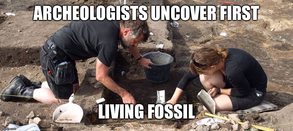 archeologists | ARCHEOLOGISTS UNCOVER FIRST LIVING FOSSIL | image tagged in archeologists | made w/ Imgflip meme maker