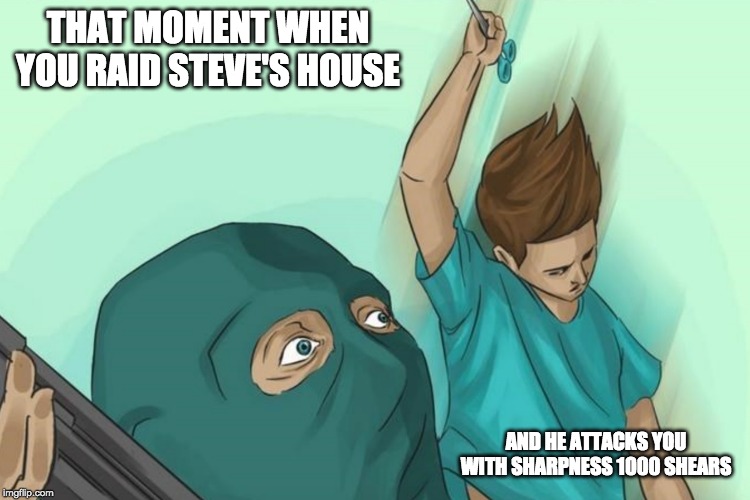 THAT MOMENT WHEN YOU RAID STEVE'S HOUSE; AND HE ATTACKS YOU WITH SHARPNESS 1000 SHEARS | image tagged in minecraft,wikihow | made w/ Imgflip meme maker