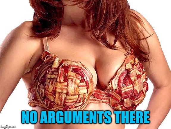 NO ARGUMENTS THERE | made w/ Imgflip meme maker