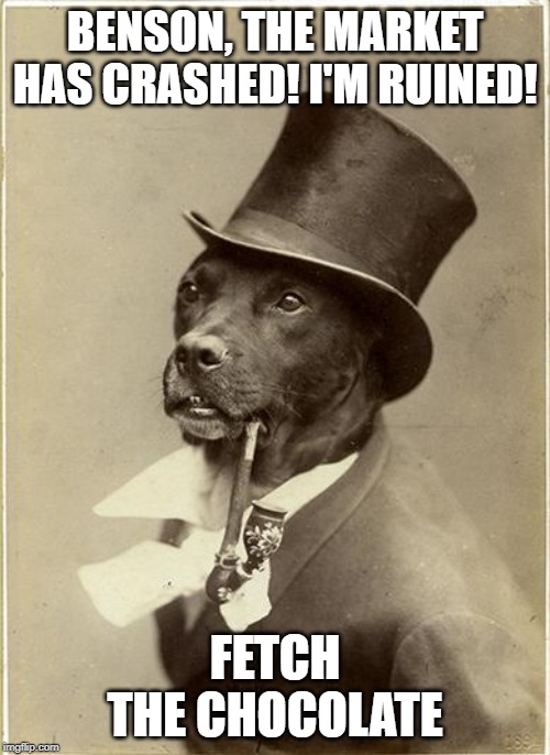 Old Money Dog | BENSON, THE MARKET HAS CRASHED! I'M RUINED! FETCH THE CHOCOLATE | image tagged in old money dog,AdviceAnimals | made w/ Imgflip meme maker