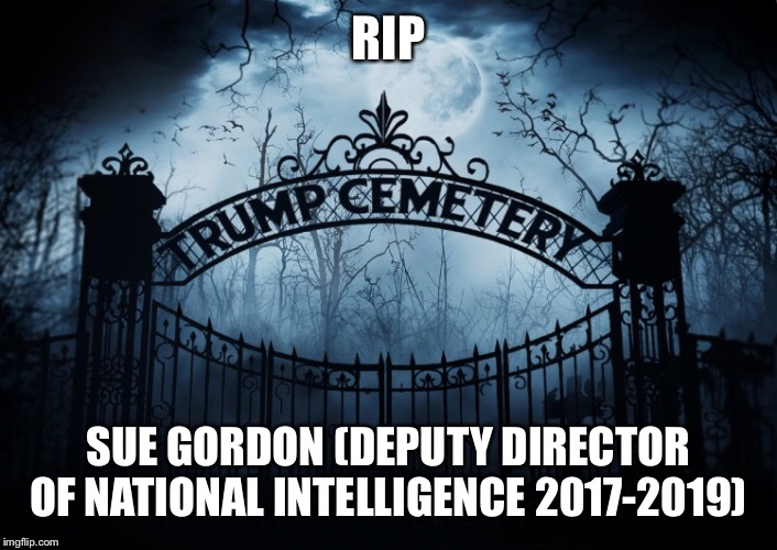 RIP Sue Gordon | RIP; SUE GORDON (DEPUTY DIRECTOR OF NATIONAL INTELLIGENCE 2017-2019) | image tagged in sue gordon,trump administration,director of national intelligence,rip,resignation,resist | made w/ Imgflip meme maker