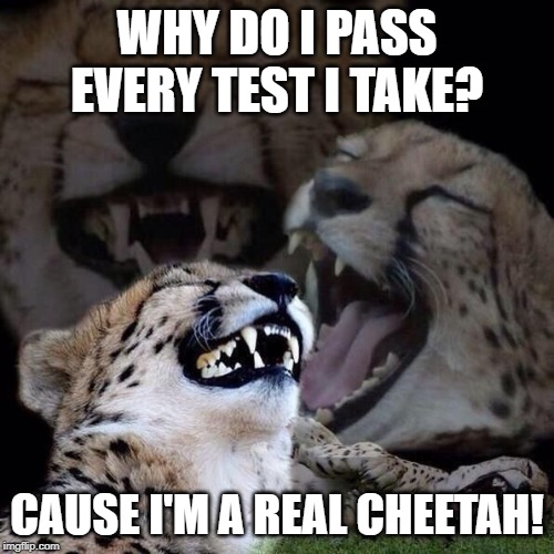 Never Fails... | WHY DO I PASS EVERY TEST I TAKE? CAUSE I'M A REAL CHEETAH! | image tagged in but you're really a cheetah | made w/ Imgflip meme maker