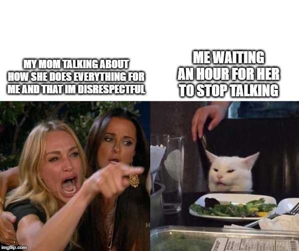 two woman yelling at a cat | ME WAITING AN HOUR FOR HER TO STOP TALKING; MY MOM TALKING ABOUT HOW SHE DOES EVERYTHING FOR ME AND THAT IM DISRESPECTFUL | image tagged in two woman yelling at a cat | made w/ Imgflip meme maker