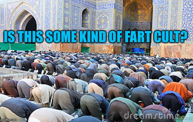 muslim pray fart | IS THIS SOME KIND OF FART CULT? | image tagged in muslim pray fart | made w/ Imgflip meme maker