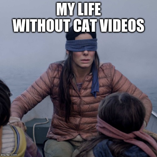 Who Ripped Out My Eyes!! | MY LIFE WITHOUT CAT VIDEOS | image tagged in memes,bird box | made w/ Imgflip meme maker