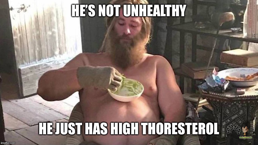 Fat Thor | HE’S NOT UNHEALTHY; HE JUST HAS HIGH THORESTEROL | image tagged in fat thor | made w/ Imgflip meme maker