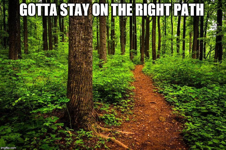 forest path | GOTTA STAY ON THE RIGHT PATH | image tagged in forest path | made w/ Imgflip meme maker