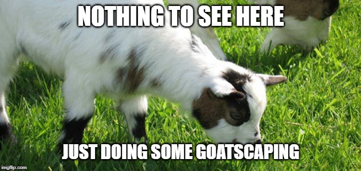 NOTHING TO SEE HERE JUST DOING SOME GOATSCAPING | made w/ Imgflip meme maker