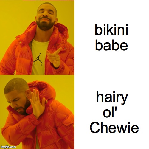 bikini babe hairy ol'   Chewie | made w/ Imgflip meme maker