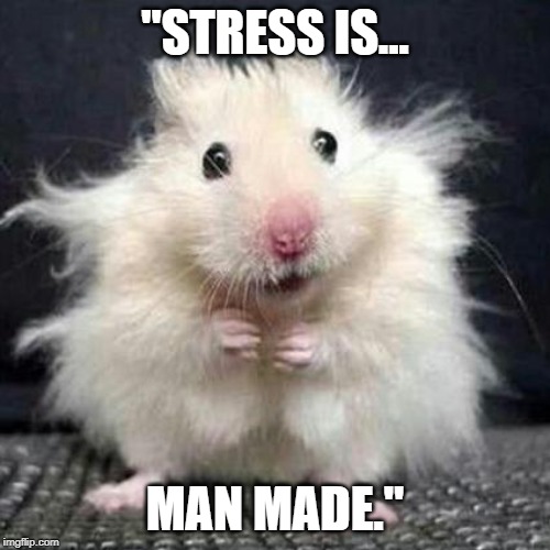 Stressed Mouse | "STRESS IS... MAN MADE." | image tagged in stressed mouse | made w/ Imgflip meme maker