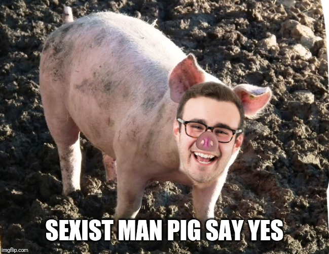 Sexist man pig | SEXIST MAN PIG SAY YES | image tagged in sexist man pig | made w/ Imgflip meme maker