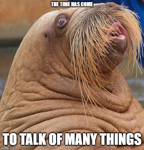 THE TIME HAS COME; TO TALK OF MANY THINGS | image tagged in walrus | made w/ Imgflip meme maker