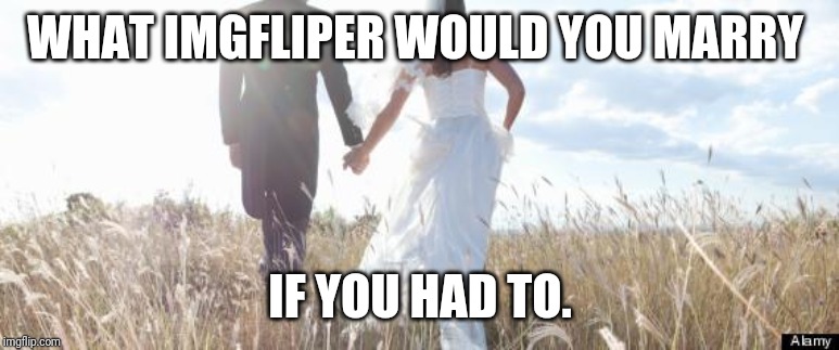 Id pick nondescript. Married imgflipers can play if you want | WHAT IMGFLIPER WOULD YOU MARRY; IF YOU HAD TO. | image tagged in marriage | made w/ Imgflip meme maker