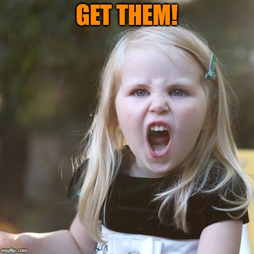 Little Girl Scream | GET THEM! | image tagged in little girl scream | made w/ Imgflip meme maker