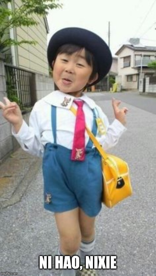 japanese student kid | NI HAO, NIXIE | image tagged in japanese student kid | made w/ Imgflip meme maker