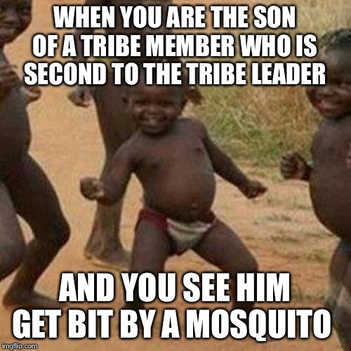 Third World Success Kid Meme | WHEN YOU ARE THE SON OF A TRIBE MEMBER WHO IS SECOND TO THE TRIBE LEADER; AND YOU SEE HIM GET BIT BY A MOSQUITO | image tagged in memes,third world success kid | made w/ Imgflip meme maker