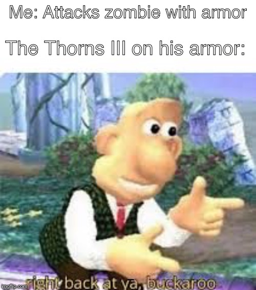 right back at ya, buckaroo | Me: Attacks zombie with armor; The Thorns III on his armor:; right back at ya, buckaroo | image tagged in right back at ya buckaroo | made w/ Imgflip meme maker