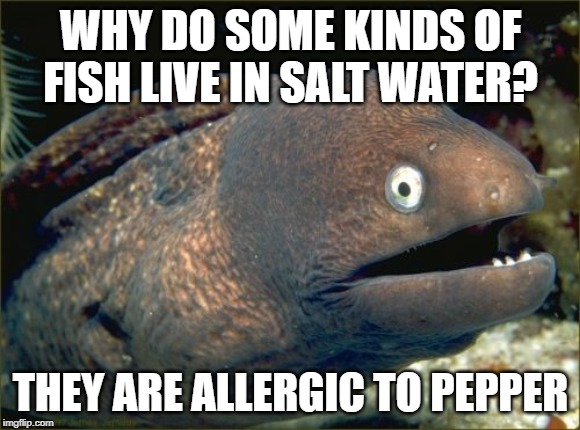 Bad Joke Eel Meme | WHY DO SOME KINDS OF FISH LIVE IN SALT WATER? THEY ARE ALLERGIC TO PEPPER | image tagged in memes,bad joke eel | made w/ Imgflip meme maker