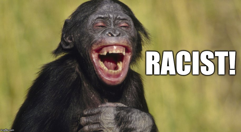 laughing monkey,memes | RACIST! | image tagged in laughing monkey memes | made w/ Imgflip meme maker