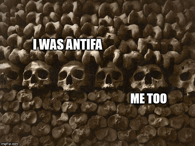 Should have | I WAS ANTIFA; ME TOO | image tagged in should have | made w/ Imgflip meme maker