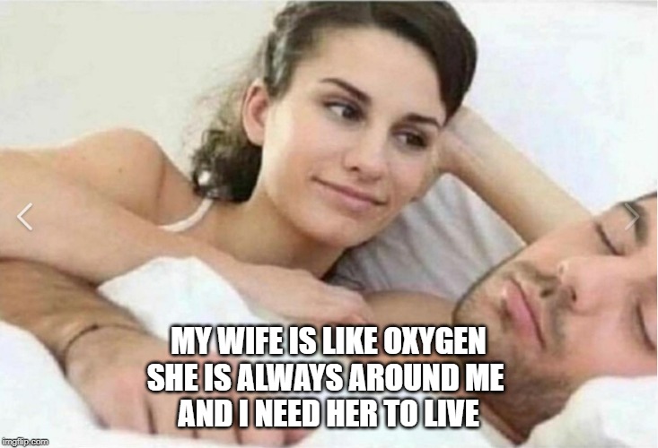 wife | MY WIFE IS LIKE OXYGEN
SHE IS ALWAYS AROUND ME 
AND I NEED HER TO LIVE | image tagged in wife | made w/ Imgflip meme maker