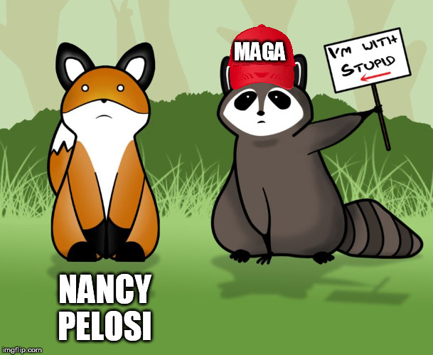 The sign for Nancy | MAGA NANCY PELOSI | image tagged in stupid,maga | made w/ Imgflip meme maker