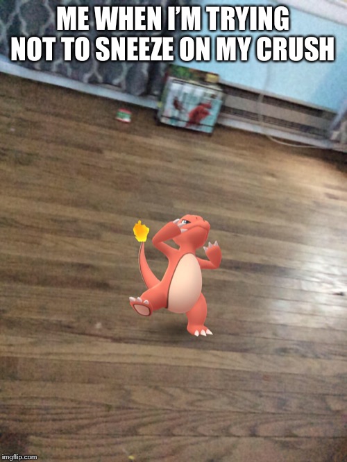 Sneezing charmeleon | ME WHEN I’M TRYING NOT TO SNEEZE ON MY CRUSH | image tagged in sneezing charmeleon | made w/ Imgflip meme maker