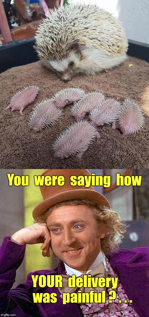 Ouch! Ouch!  Oooch!  Oooch!  Ouch! | You  were  saying  how; YOUR  delivery    
  was  painful ? . . . | image tagged in memes,creepy condescending wonka,rick75230,sick humor | made w/ Imgflip meme maker