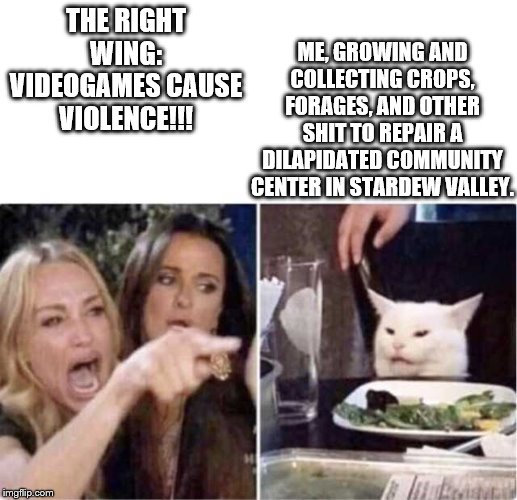 Woman Screaming At Cat | ME, GROWING AND COLLECTING CROPS, FORAGES, AND OTHER SHIT TO REPAIR A DILAPIDATED COMMUNITY CENTER IN STARDEW VALLEY. THE RIGHT WING:
VIDEOGAMES CAUSE VIOLENCE!!! | image tagged in woman screaming at cat | made w/ Imgflip meme maker