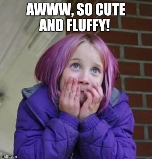 So Cute | AWWW, SO CUTE AND FLUFFY! | image tagged in so cute | made w/ Imgflip meme maker