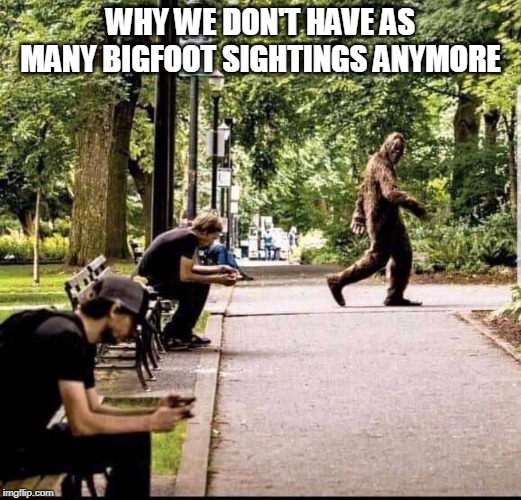 bigfoot sighting | WHY WE DON'T HAVE AS MANY BIGFOOT SIGHTINGS ANYMORE | image tagged in bigfoot | made w/ Imgflip meme maker